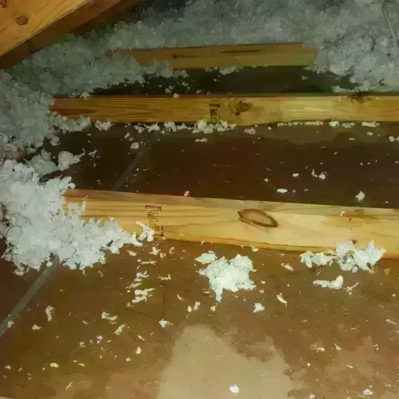 Attic Water Damage in Lake Park, FL