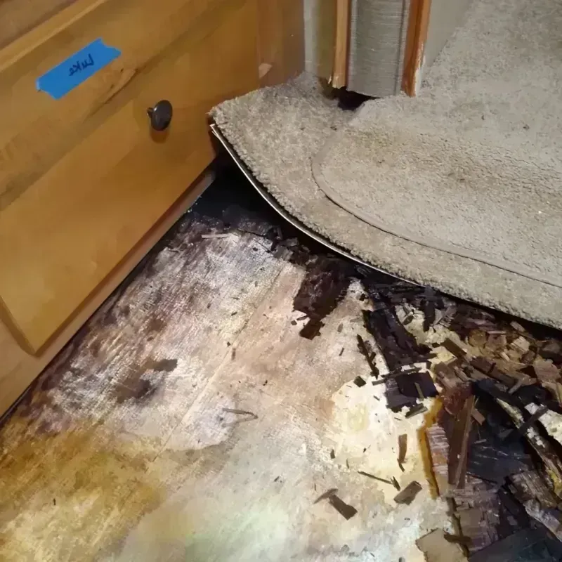 Wood Floor Water Damage in Lake Park, FL